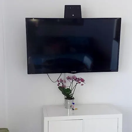 Green Ocean Seven Floor Apartment *